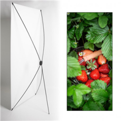 Kakemono Fruits Fraise - 180 x 80cm -Toile M1 avec structure X- Banner