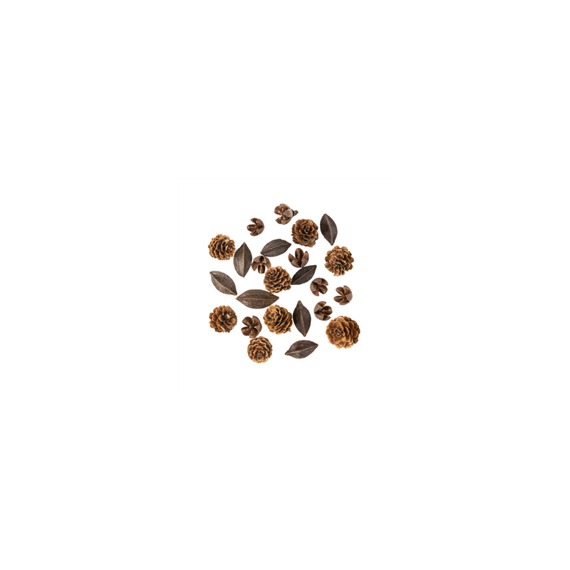Assortiment d'Écorces et Pommes de Pin Naturel De 1 à 3,5cm - 24pcs