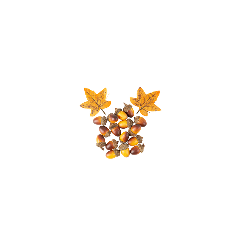 Sachet de glands et feuilles d'automne 2,5cm