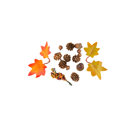 Assortiment Feuilles d'Érable, Pommes Pin, Glands et Baies Automnales (env.15pc)
