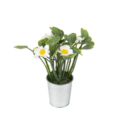 Pot de marguerites et feuilles 5 x 17cm