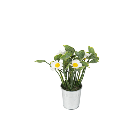 Pot de marguerites et feuilles 5 x 17cm