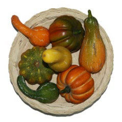 légumes d'automne x 7
