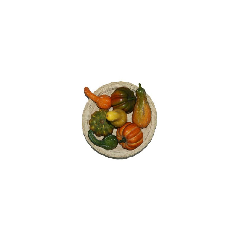 légumes d'automne x 7