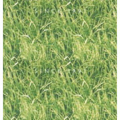 Tissu herbes M1 - Larg. 150cm (vendu au mètre)