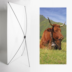 Kakemono Auvergne vache - 180 x 80 cm - Toile M1 avec structure  X- Banner
