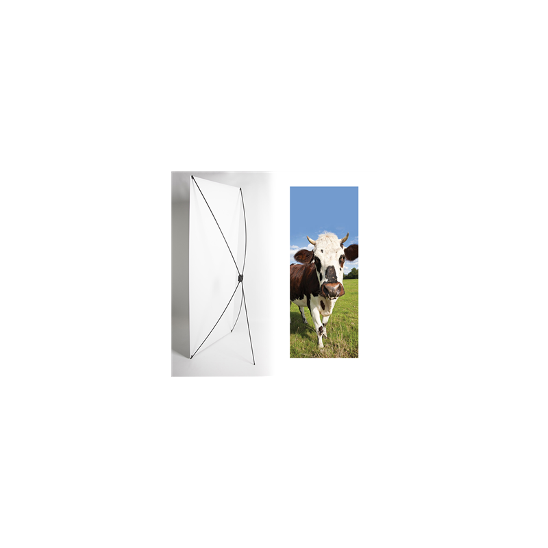 Kakemono normandie vache - 180 x 80 cm - Toile M1 avec structure  X- Banner
