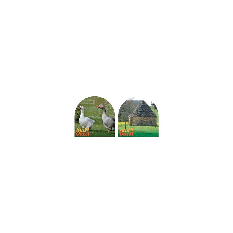 Mobiles Sud Ouest x2 - carton - 30x 30cm