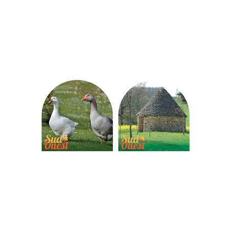 Mobiles Sud Ouest x2 - carton - 30x 30cm