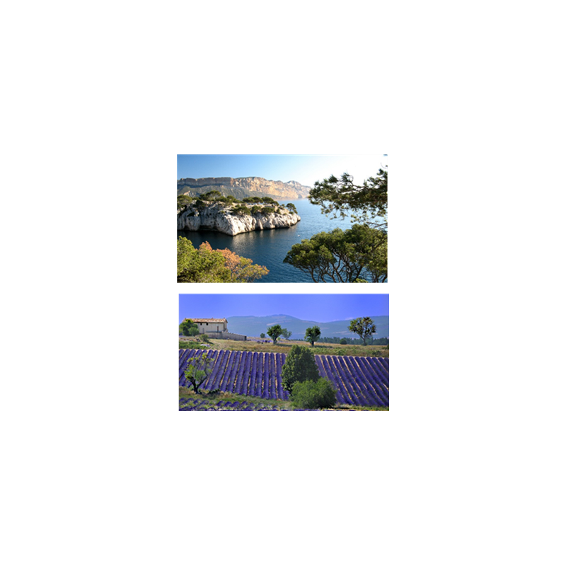 Mobiles Été x2 - carton - 27 x 44cm