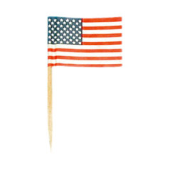 Drapeaux mini USA x50 papier - 3.5 x 2.5cm (pic en bois de 6.5cm)