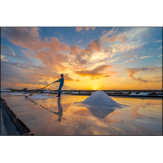 Visuel imprimé Terroir Marais salant - 40 x 30cm sur support bristol 350 gr