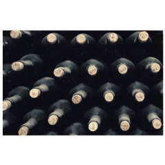 Visuel imprimé Vendanges Bouteilles - 40 x 30 cm sur bristol 350 gr