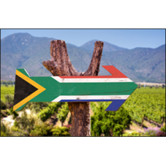 Visuel imprimé Afrique du Sud Panneau - 30 x 30 cm sur bristol 350 gr