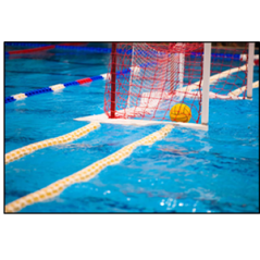 Visuel imprimé Sport Waterpolo - 40 x 30cm sur support bristol 350 gr