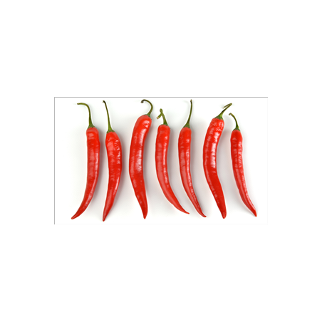 Visuel panoramique Piments rouges - 57 x 30 cm sur bristol