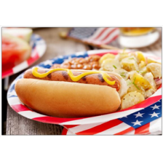 Visuel imprimé USA Hot-Dog - 40 x 30 cm sur forex