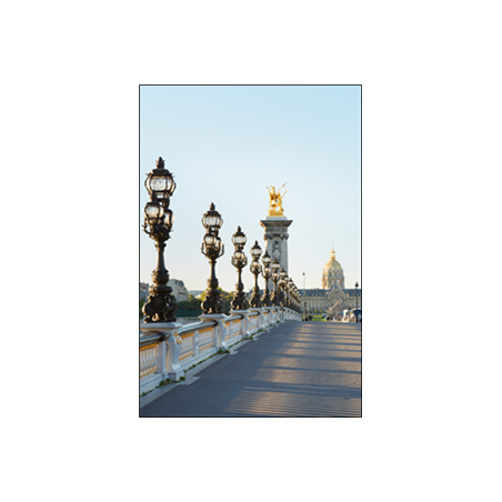 Visuel imprimé Paris Pont Alexandre III - 40 x 30cm sur support bristol 350 gr