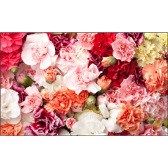 Visuel imprimé Rose Fleurs - 40 x 30cm sur support bristol 350 gr