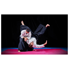 Visuel imprimé Japon Judo - 40 x 30cm sur support bristol 350 gr