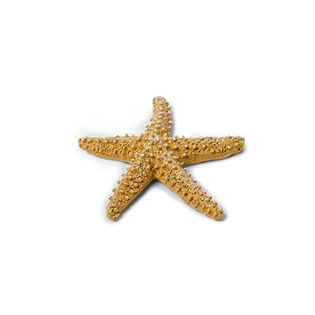 Étoile de mer en résine beige 6,5cm