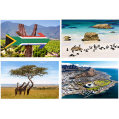 Mobiles Afrique du Sud x4 - carton - 27 x 49cm