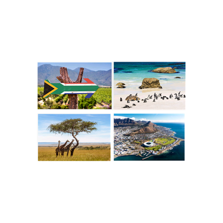 Mobiles Afrique du Sud x4 - carton - 27 x 49cm