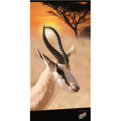 Kakemono Afrique du sud Antilope 180 x 80cm - Toile M1 avec structure X- Banner