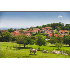 Visuel imprimé Terroir Pâtures - 40 x 30cm sur support bristol 350 gr