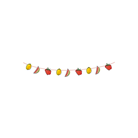 Guirlande fruit - carton Long. 300cm