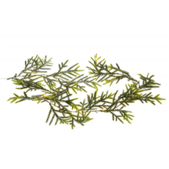 Guirlande sapin effet givré 20 leds 2 piles AA (non incluses) - Long. 150cm
