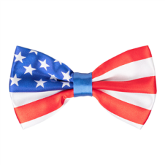 Noeud papillon USA polyester / Taille adulte