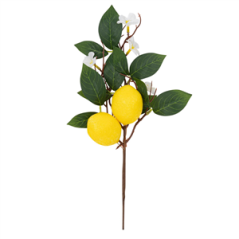 Branche de citrons fleurs et feuillage - Haut. 32cm