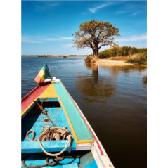 Visuel imprimé Afrique Sénégal Bateau de pêche - 40 x 30 cm sur bristol 350 gr