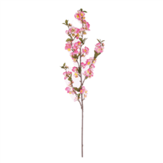 Branche de pommier - Long. 90cm