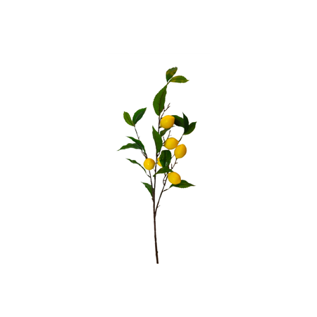 Branche de citrons et feuillage - Tige 85cm - fruits et feuilles sur 55cm