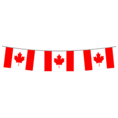 Guirlande drapeaux Canada 10 fanions 21 x 30cm - papier Long. 420cm