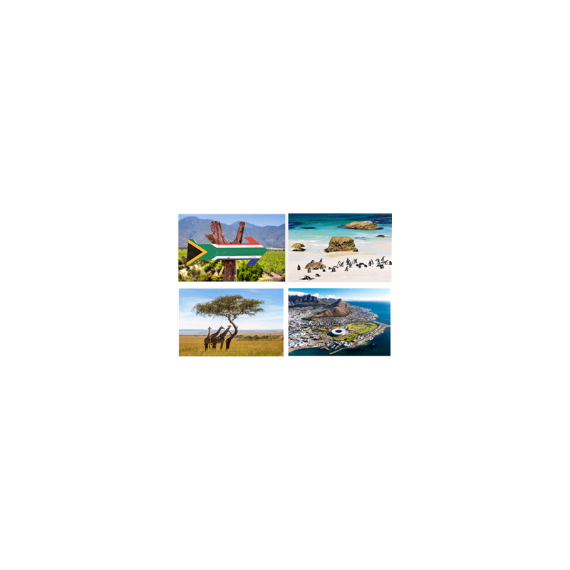 Mobiles Afrique du Sud x4 - carton - 27 x 49cm