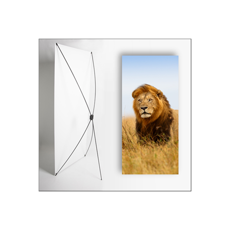Kakemono Afrique Lion - 180 x 80 cm - Toile M1 avec structure X- Banner
