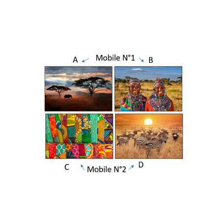 Mobiles Afrique x4 - carton - 27 x 49cm