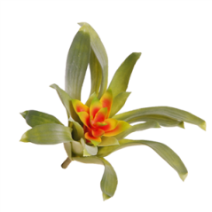 Fleur exotique Billbergia 25cm (fleur artificielle sur 23 cm)