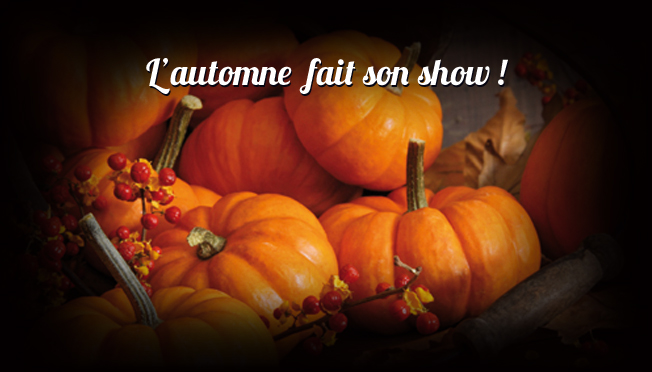 Décoration automne vitrine